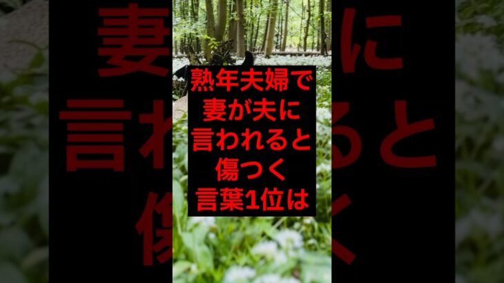 【年金】熟年夫婦で、妻が夫に言われると傷つく言葉1位は#シニア #年金生活 #名言