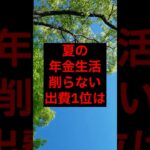 夏の年金生活、削らない出費1位は#シニア #年金 #年金生活 #老後 #60代 #70代