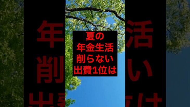 夏の年金生活、削らない出費1位は#シニア #年金 #年金生活 #老後 #60代 #70代