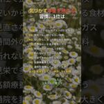 気づかず年金を捨てる習慣、1位は #年金 #シニア #知恵 #60代 #Shorts
