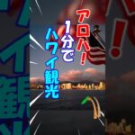 【シニアのハワイ】 1分でハワイ観光….　