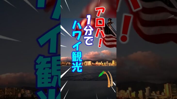 【シニアのハワイ】 1分でハワイ観光….　