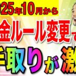 【知らないと大損！】10月から年金のルール激変で手取りが増額！65歳以上は絶対確認して！【在職定時改定 厚生年金 国民年金】