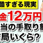 【年金の現実】年金月12万円の手取り額！税金、保険料はどのくらい天引きされる？驚きの手取り額とは？【年金だけで生活費足りる？】