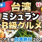 【台湾グルメ】シニア夫婦台湾旅行で夜市のミシュラン料理を食べ歩き！寧夏夜市2023年⑤
