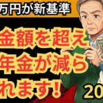 知らないと損する！2026年から変わった年金受給者向け控除と新しい働き方