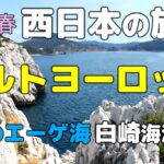 2026春の 西日本の旅 ⑤ 5日目後半 #白崎海洋公園  #ポルトヨーロッパ #黒潮市場 #和歌浦 #車中泊