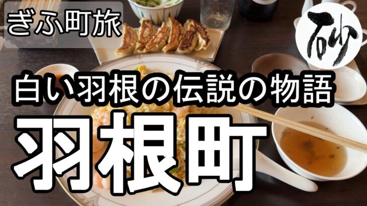 【ナイスなシニアのぎふ町旅＠羽根町】岐阜県岐阜市（2026年07月28日）
