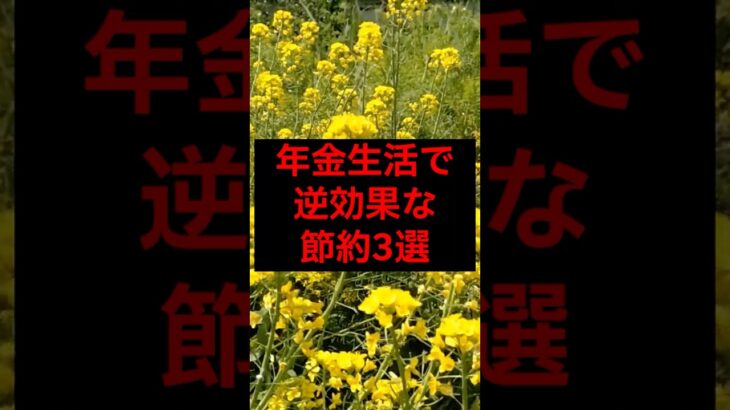 年金生活で逆効果な節約3選#シニア #年金 #年金生活 #老後 #60代 #70代