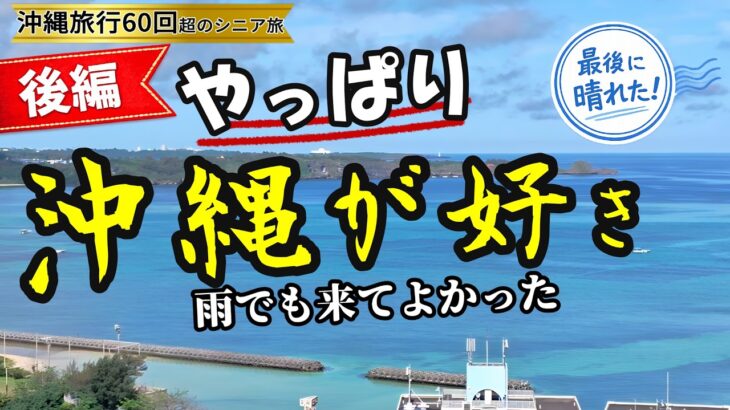 【沖縄旅行後編】3日連続の雨…それでも最高だった沖縄旅｜HIYORI・山原そば・やんばる市場・居酒屋なかや