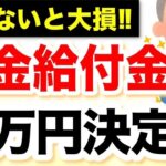【知らないと損】年金定期便に載っていない年金4選！受給者が「事前に知っておけば良かった」と後悔す
