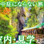 【シニア旅行】これぞ夏の大人旅！猛暑から逃れる室内・見学スポット5選！【60代】