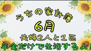 【うちの家計簿見る？】6月 年金暮らし夫婦。夫の年金振込みが始まった。旅の予算がそのまま残り今月から積立てを始めます！光熱費の節約工夫やセカンドライフを楽しんでいる様子をお楽しみ下さい