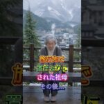 旅行先で置き去りにされた祖母 #60歳代 #シニア#スカッとする話 #夫婦