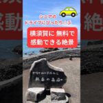 秋谷の立石「シニアのドライブにぴったり」 #シニア #60歳代 #旅行好き