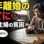 【シニア貧困苦】熟年離婚、少ない年金…60代主婦の老後が悲惨すぎた。口コミ30個ご紹介＜老後・シニアライフ＞