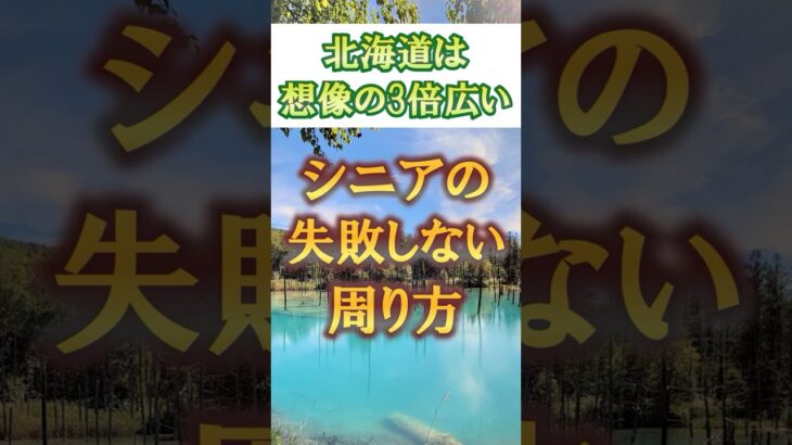 【北海道】シニア・60代が最大限楽しめる北海道旅行！#60代旅行 60代女性 #シニア旅行#ひとり旅 #shorts #夏旅行 #北海道  #観光  #ひとり旅 #観光