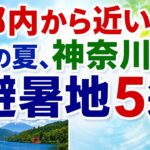 【60代からの夏旅】都内から約90分！涼しく過ごせる神奈川の避暑地5選#シニア#旅行好き