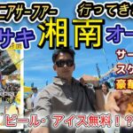 61才シニアサーファー、ムラサキ湘南オープン行ってきました！ビールもアイスも無料⁉豪華グルメも‼