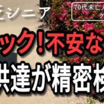【貧乏シニア】子供たちの体に異変が起きました。最近の出来事と現在の状況【70代未亡人年金暮らし】