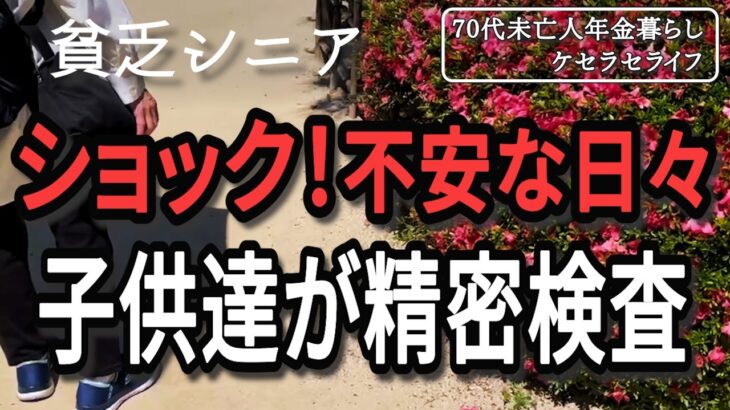 【貧乏シニア】子供たちの体に異変が起きました。最近の出来事と現在の状況【70代未亡人年金暮らし】