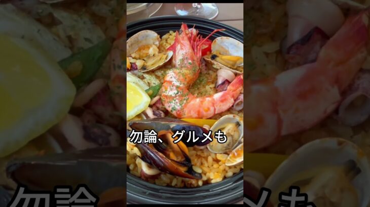 80代の母と巡るハウステンボス！シニア旅の決定版【総集編】 #shorts