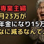遺族年金9万と自分の年金6万円では「家賃払えず、更新料なんて無理」年金月23万円に頼り過ぎていた専業主婦68歳が見た地獄