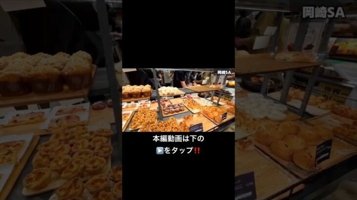 愛知に行く前に見て❗️車中泊旅の本編は「▶️」をタップ‼️ノアで旅するシニア夫婦Vlog
