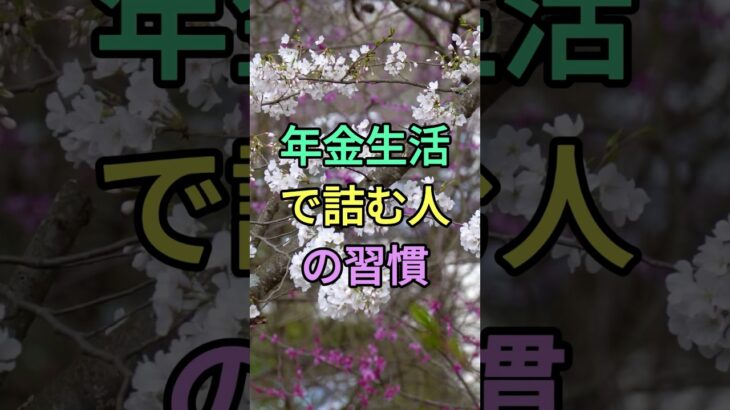 年金生活で詰む人の習慣 #知恵 #名言 #雑学 #シニア