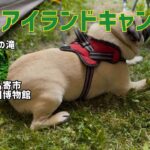 【シニア夫婦】一泊二日のドライブ旅最終回。冬をテーマにした北国博物館と、偶然見つけた行者の滝。
