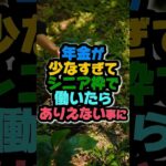 年金が少なすぎてシニア枠で働いたら、ありえない事になりました。#年金 #シニア