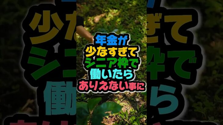 年金が少なすぎてシニア枠で働いたら、ありえない事になりました。#年金 #シニア