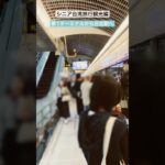 シニア台湾旅行