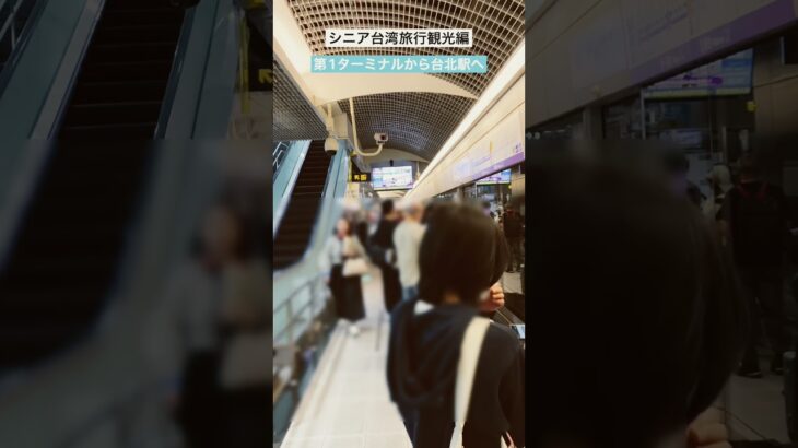 シニア台湾旅行