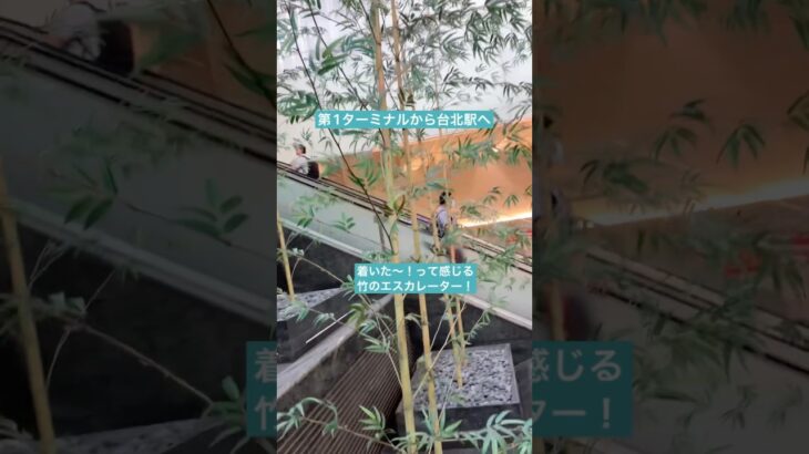 シニア台湾旅行