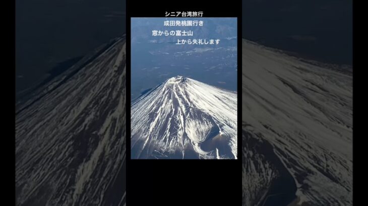 シニア台湾旅行