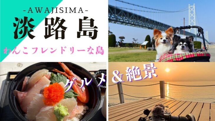【淡路島北部犬連れ】狭い範囲にひしめく魅力あるスポット/シニア犬と楽しむゆったり散歩/グルメスポット/犬とお出かけ/日帰り旅