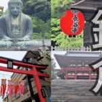 【シニア夫婦旅】シニア夫婦鎌倉ぶらり旅💕鶴岡八幡宮✨長谷寺💕大人の休日俱楽部パス🎶大仏様✨小町通り🎶