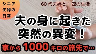 【シニア旅】朝起きたらめまいと嘔吐が…。愛犬との車中泊旅での突然の出来事！この経験からもしもの時ノートを作った。日本一周車中泊の旅を成し遂げたシニア夫婦の裏話です