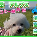 【６０代シニア旅】　八ヶ岳 アルプス 富士山　日本三高峰を見に行こう！！