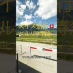 🇨🇭スイス旅行-ベルリナ特急の旅