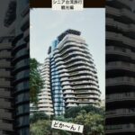 シニア台湾旅行