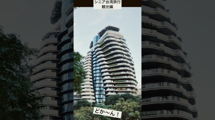 シニア台湾旅行