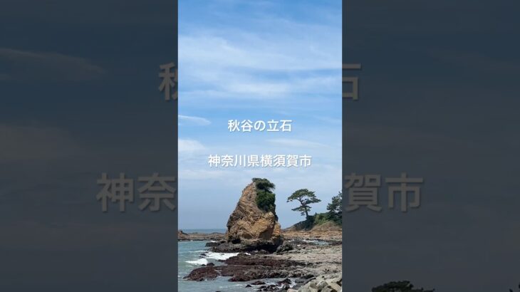 秋谷の立石　神奈川県横須賀市 #シニアライフ  #旅行好き#神奈川