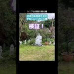 シニア台湾旅行