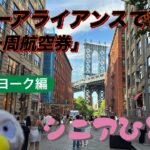 スターアライアンス「世界一周航空券」で行くシニアひとり旅①ニューヨーク編