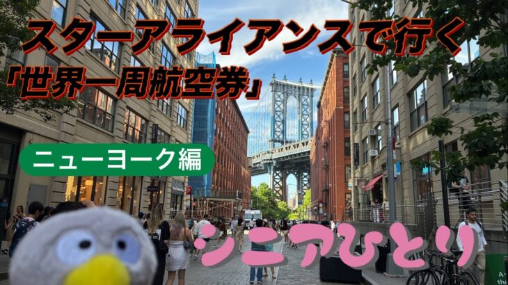 スターアライアンス「世界一周航空券」で行くシニアひとり旅①ニューヨーク編
