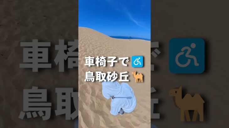 車椅子で鳥取砂丘　 #シニア旅行　 #車椅子旅　#ベビーカー