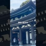 鎌倉・長谷寺#旅行 #シニア#鎌倉