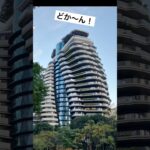 シニア台湾旅行